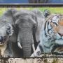 Zoo Duisburg